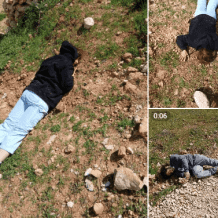 إصابة متضامنين أجنبيين في هجوم للمستوطنين على قصرة جنوب نابلس