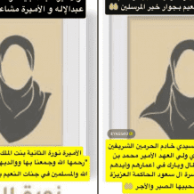 سبب وفاة الأميرة نورة بنت عبدالعزيز.. تفاصيل الرحيل المفاجئ والسيرة الذاتية الكاملة بعد وفاة الأمير بندر