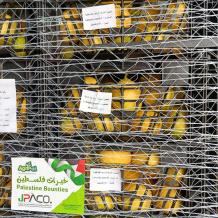 سليمية يعلن إنجاز الاعتماد الرسمي للمنتجات الفلسطينية في السوق السعودي