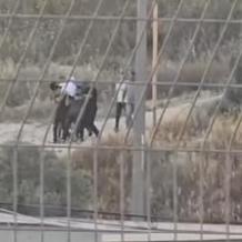 باحث لراية: الاحتلال يطارد الفلسطينيين في باطن الأرض.. "نبش القبور" جريمة وحشية لتهجير الأحياء والأموات