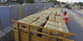 الاقتصاد: فتح باب تقديم طلبات استيراد اللحوم المجمدة والاسمنت