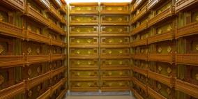 استقرار سعر الذهب 