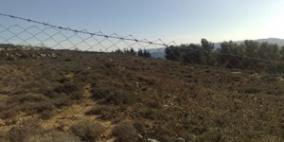 أداء صلاة الجمعة وزراعة أشجار في الأراضي المصادرة في بيت إكسا