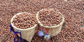 تركيا تخذل العالم في إنتاج البندق