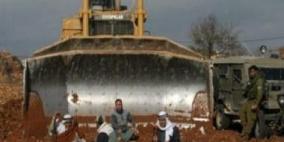 مستوطنون يتلفون 45 غرسة زيتون جنوب نابلس