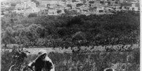 صورة ‫‏قرية‬ كفركنا ..عام 1900