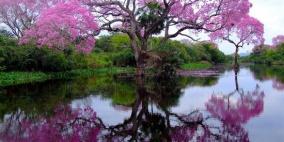 مجموعة صور طبيعية مذهلة من مختلف أنحاء العالم