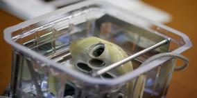 دراسة تكشف سببا عاطفيا لنوبات القلب