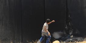 مسيرة نعلين الأسبوعية ضد جدار الفصل العنصري  29/6/2012