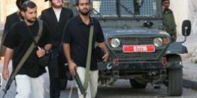 مستوطنون يعربدون جنوب جنين