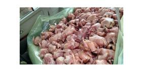 ضبط ما يزيد عن 600 دجاجة تالفة في طريقها لاسواق بيت لحم