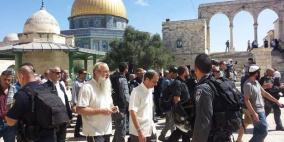 دعوات لاقتحامات واسعة للأقصى في ذكرى ما يسمى "خراب الهيكل"