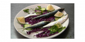 شاشات تختتم " أنا امرأة من فلسطين" بأفلام غزّية