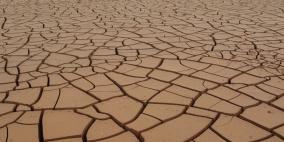 والأرض تتفح للأحلام... مرج إبن عامر اليوم