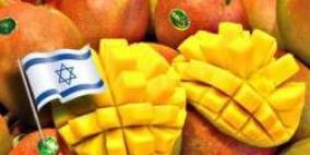 الصادرات الاسرائيلية تتراجع أوروبياً وترتفع عربياً!