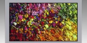 الإعلان عن أول شاشة من قياس 17 إنش بدقة 8K