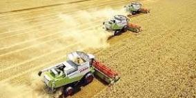 السعودية ستستورد القمح اللين ما يفتح فرصا لكبار المصدرين