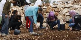 برنامج الشراكة ينظم نشاطا تطوعيا في قرية بلعين