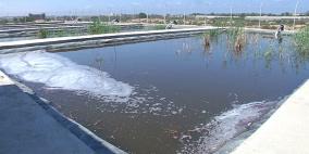 بالصور : غزة تروي مزروعاتها بمياه الصرف الصحي