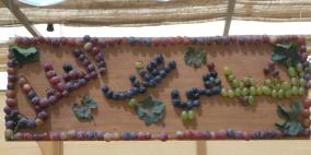 بالصور: مهرجان العنب الفلسطيني 2015