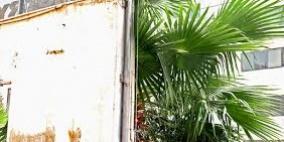 وزارتي الإعلام والعدل ترفعان علم فلسطين فوق مبناهما