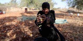 معصرة الجدار