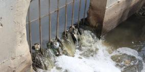 وادي المطوي كابوس مرعب يؤرق محافظة سلفيت