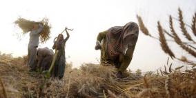 تراجع في أسعار الأغذية العالمية