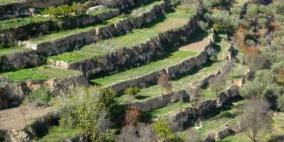 اليونسكو تدرج مدرجات قرية بتير على لائحة التراث العالمي