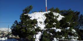 الثلوج في قرى شرق رام الله