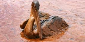 شركة (BP) للنفط تواجه عقوبات جديدة في أمريكا