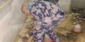 حريق في طولكرم يؤدي لنفوق 2000 طير