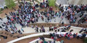 فعاليات "نورت" في مدينة روابي