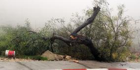 اضرار العاصفة والمنخفض الحالي في شوارع رام الله هذا الصباح