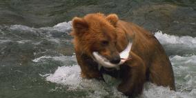 المصورون الجريئون