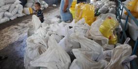 دراسة الزيتون في قرية دير ابزيع قرب رام الله