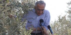 رئيس الوزراء سلام فياض يفتتح موسم قطف الزيتون لهذا العام في قرية جيوس