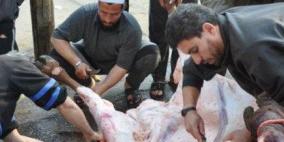 غزة: إصابة 125 مواطنا خلال عمليات ذبح الأضاحي