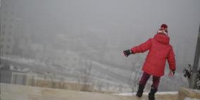 صور لثلوج‎  قرب ضريح محمود درويش