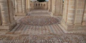 فلسطين تكشف عن "شجرة الحياة"