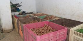 ضبط 5200 كغم من البطاطا التالفة شرق القدس