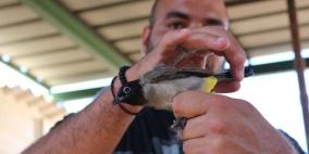 طولكرم: افتتاح فعاليات أسبوع الطيور الوطني الرابع