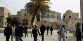 الرويضي لـ"رايــة": مستوطنون يستأنفون اقتحاماتهم للأقصى