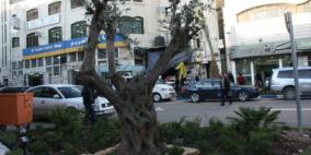 عدسة محمد جواد تتجول بشارع الحسبة بعد اعادة تأهيل الشارع برام الله