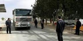 طماطم وزهور لأوروبا و310شاحنة بضائع لغزة عبر 'كرم أبو سالم'