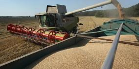 "لجنة القمح" المصرية تقدم تقريرها النهائي إلى البرلمان