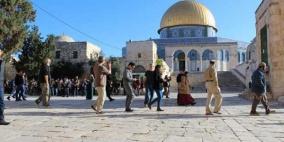مستوطنون يجددون اقتحامهم للاقصى