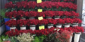 اجواء عيد الحب في مدينة رام الله