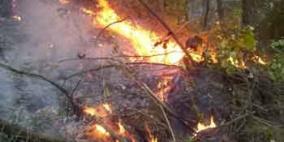 إحتراق آلاف الدونمات في منطقة المالح قرب الحدود الاردنية الفلسطينية