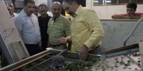 قلقيلية : نائب المحافظ يتفقد معاصر زيت الزيتون